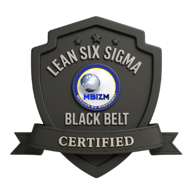 Lean Six Sigma Black Belt badge
